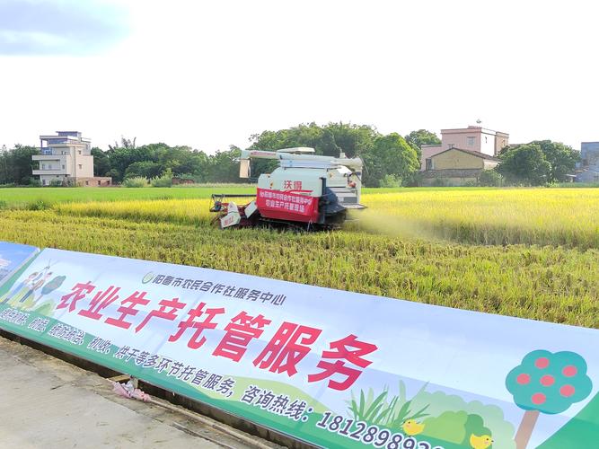農(nóng)業(yè)大托管軟件
